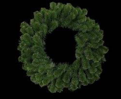 Wreath Australian Pine   30"