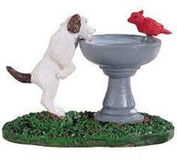 Bird  Bath  Dog   Fountain