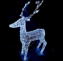 Deer Acrylic Crystal