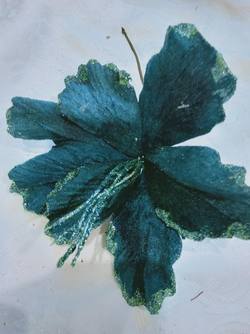 Teal Blue Poinsettia
