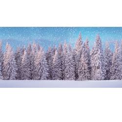 Background Cloth Snow Forrest