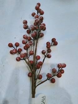 Snowberry Pick