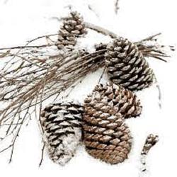 Napkins - Cones in Snow