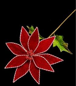 Poinsettia Stem with White Edge