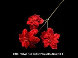 Red Velvet  Poinsettia Spray