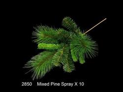 Mixed Pine Spray