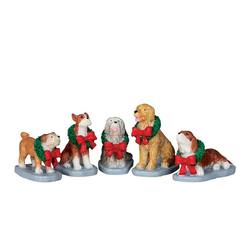 Christmas Pooch - set of 5