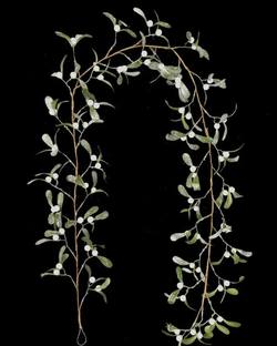 Mistletoe Garland - 6ft