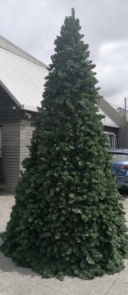12Ft  Metal Frame  Pine- Heavy Duty