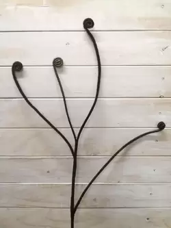 Koru Frond Spray - Brown