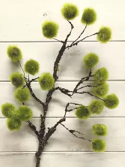 Moss Ball Spray