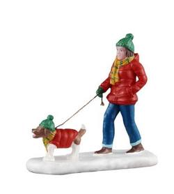 A Snowy Walk