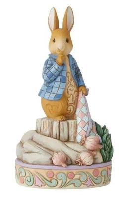 Peter Rabbit With Onions