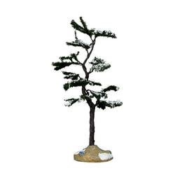 Marcescent  Tree  6"