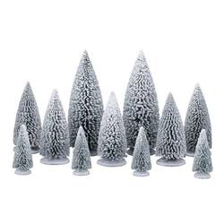White Pine Trees