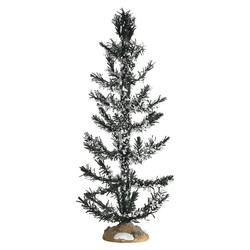 White Pine large  -  9"