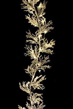 6Ft Snowy Twig Garland - Pre-lit