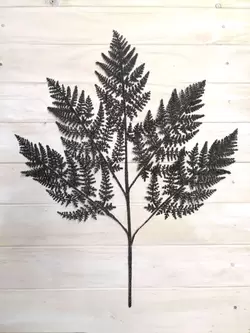 Black Fern Glitter Spray