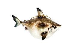 Shark Tree Hanger