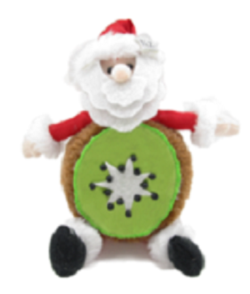 Kiwifruit santa