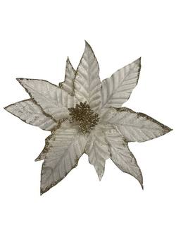 Ribbed Cream Poinsettia