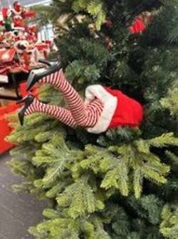 Kicking Lady Santa Legs