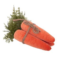 Bunch of Velvet Carrots