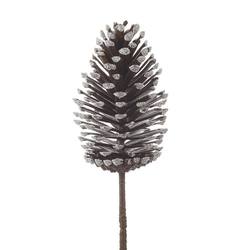Pinecone Pick
