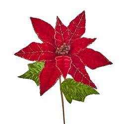 Red Velvet Poinsettia