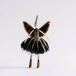 Fantail Fairy