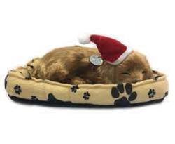 Wagging Dog in Christmas Hat - Animated