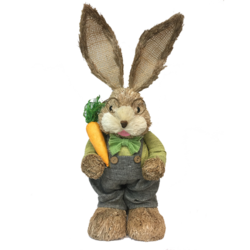 Bunny holding Carrot