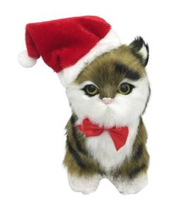 Tortoise Shell striped cat with Santa Hat