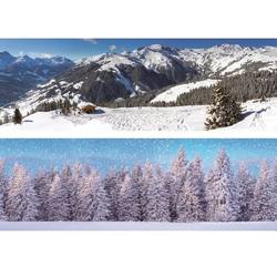 Wintersport & Forest Double Sided Backdrop