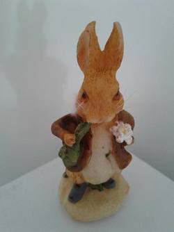 Peter Rabbit, Brown Coat