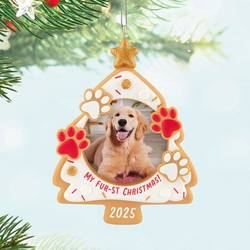 2025 My Fur-st Christmas