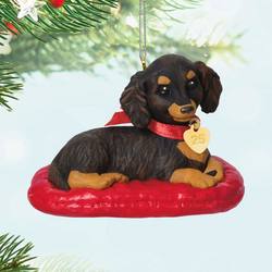 2025 Long-haired Dachshund 35th in the Puppy Love series