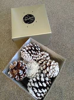 Pinecones- box of snowed cones