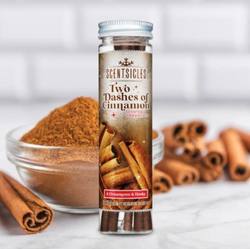 Two Dashes of Cinnamon - Scentsicles Scented Ornament Sticks