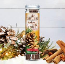 Spiced Pine Cones - Scentsicles Scented Ornament Sticks