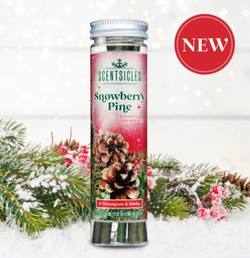 Snowberry Pine - Scentsicles Scented Ornament Sticks