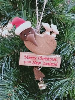 Kiwi Wooden sitting