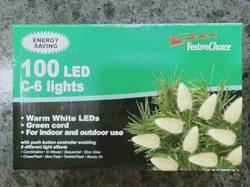 Warm White 100  LED Lights