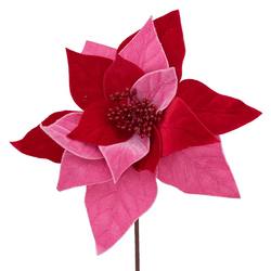 Red and Candy Pink Velour Poinsettia