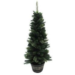Green Potted Tree - 5 Feet