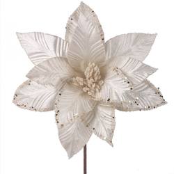 Ivory Poinsettia