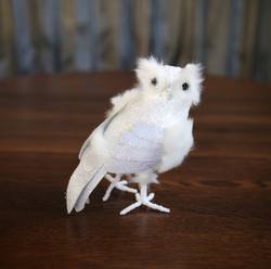 White Feathered Owl